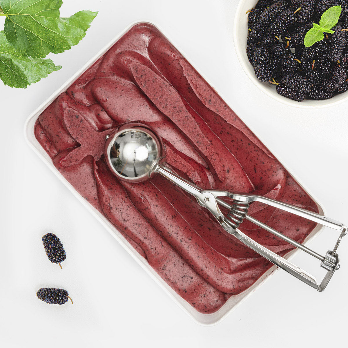 Gelsi neri siciliani